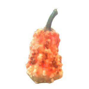 Bumpy Gourd Candle 6 Inch Orange Green Fall Autumn